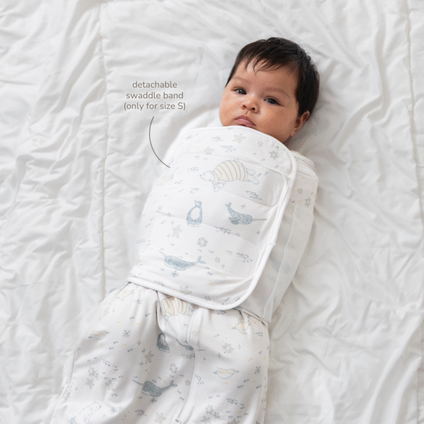 Bamboo Sleepsack Multicolor - Petit Beary