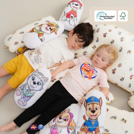 266-slide_2_-_character_pillow.jpeg