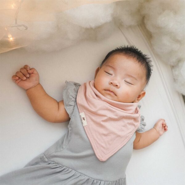 Bamboo Waterproof Bandana Bib Petit Beary - celemek bayi waterproof