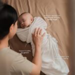Bedong Bayi Bamboo Premium – Snuggly Wrap Instant Swaddle | Selimut Bedong Petit Beary