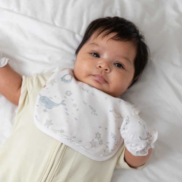 Celemek Bayi Bamboo Waterproof – Snappy Bib Isi 2pcs Anti Basah | Petit Beary