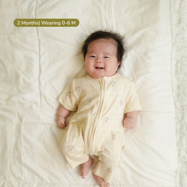 Bamboo Short-Sleeve Zipper Romper 0-18M | Petit Beary